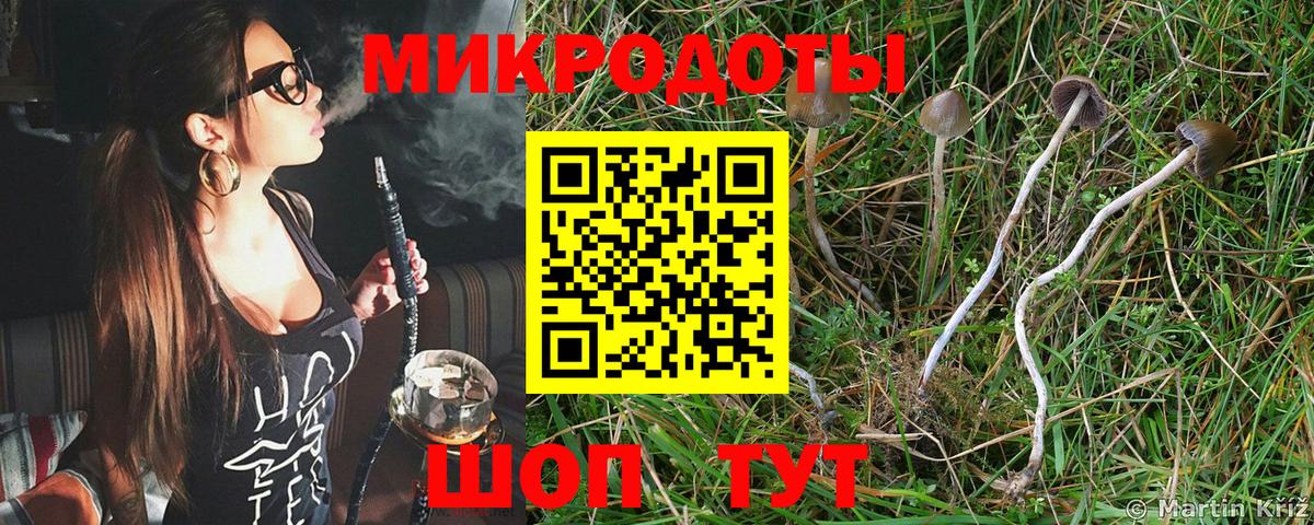 Галлюциногенные грибы GOLDEN TEACHER Сланцы