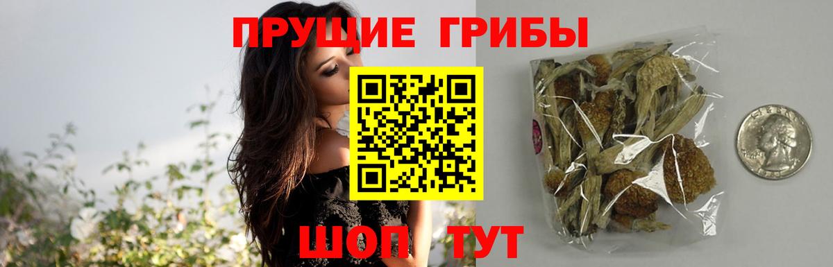Сланцы  Псилоцибиновые грибы Magic Shrooms  Вход с VPN 